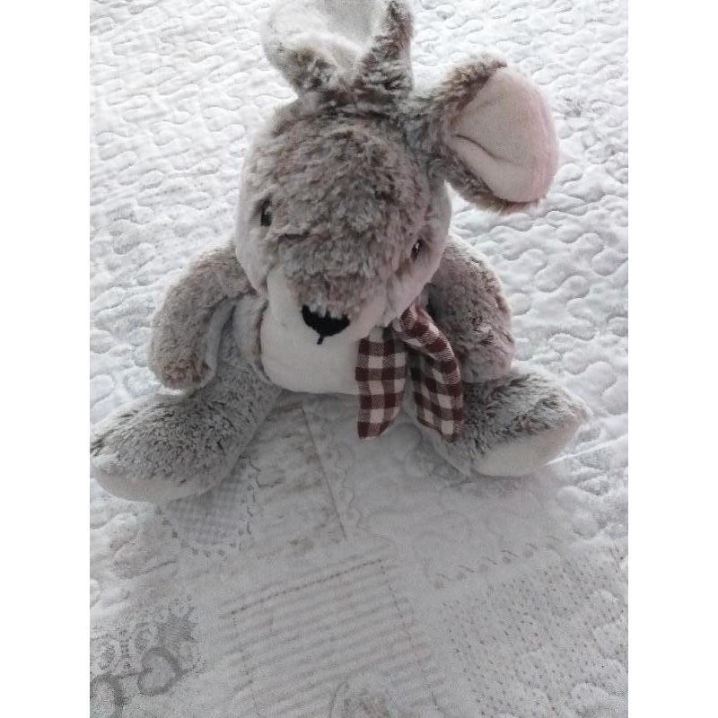 Lapin marron