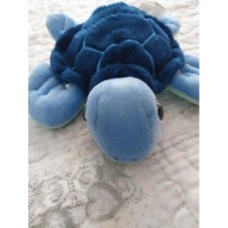 Tortue bleu