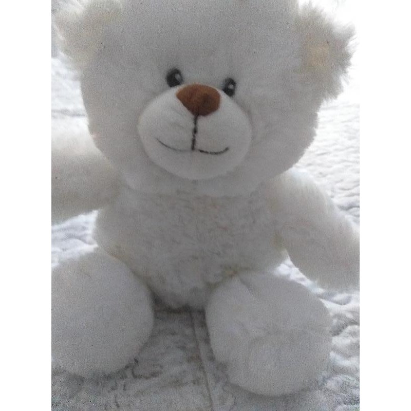 Ours blanc musicale 