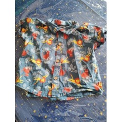 Chemise savane bleue...