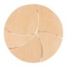 Mini tangram Le cercle 5 pièces