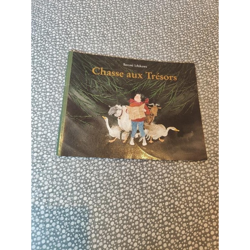 Livre chasse aux trésors 