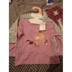 Lot de 2 t shirt ml fille...