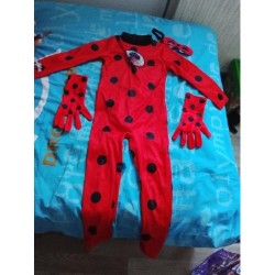 Déguisement miraculous...