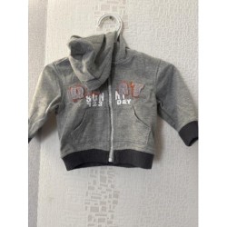 Veste capuche grise TAILLE...