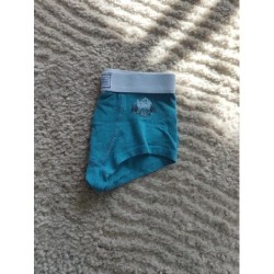 Boxer fabrique des garçons...