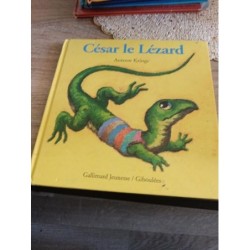 Livre enfant césar le lézard 