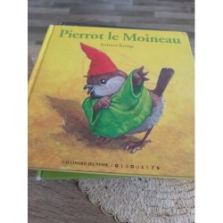 Livre enfant pierrot le moinea