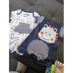 Lot 2 combicourte dino...