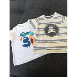 Lot 2 t-shirt MC lulu...