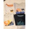 Lot tee shirt garçon mc TAILLE 4 ans