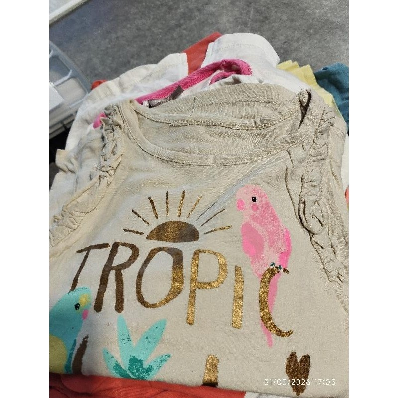 Marcel beige perroquet  TAILLE 5 a