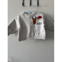 Pull de Noël, Rennes et...