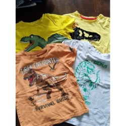 Tee shirt 5 ans dinosaure...